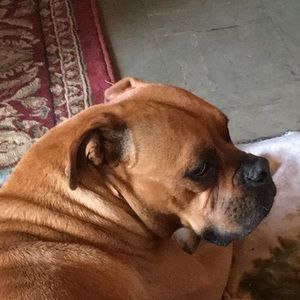 Meet your Posher, Beca